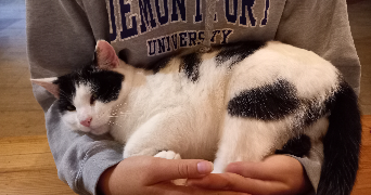 tessa pet sitter à PARIS 13 75013_1