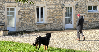astrid dog sitter à HEROUVILLETTE 14850_5