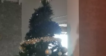 vanessa pet sitter à VINDRY SUR TURDINE 69490