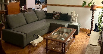 alix pet sitter à MONTPELLIER 34000_1