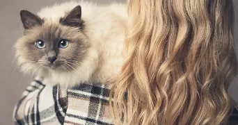 jennifer pet sitter à VENETTE 60280