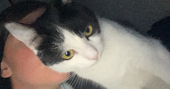 zoe pet sitter à CHAMBERY 73000_1