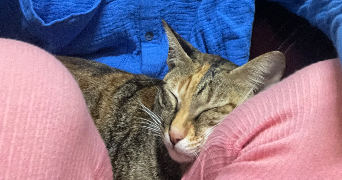 mathilde pet sitter à LA MADELEINE 59110_5