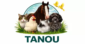 amélie pet sitter à AMBOISE 37400