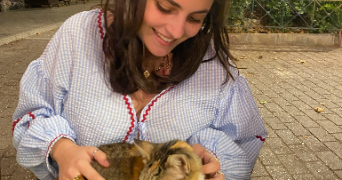 dune pet sitter à LILLE 59000_3