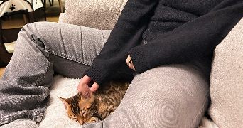 salomé pet sitter à CLAMART 92140_4