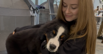 nora pet sitter à GOZÉE 6534_10