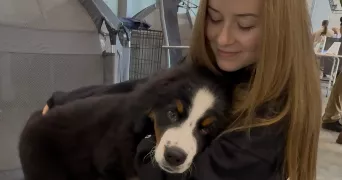 nora pet sitter à GOZÉE 6534