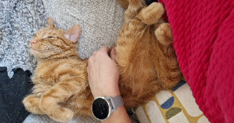 lucile cat sitter à LYON 03 69003_2