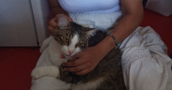 aurelia pet sitter à TOULOUSE 31000_1