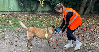 sophie pet sitter à LILLE 59800_3