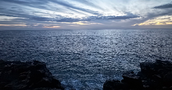 salomée pet sitter à BEGROLLES EN MAUGES 49122_0