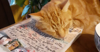pauline pet sitter à MONTPELLIER 34000_0