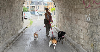 jennifer pet sitter à VILLIERS SUR MARNE 94350_20