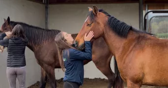 léna pet sitter à BORDEAUX 33200