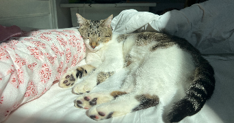 madeleine pet sitter à PARIS 18 75018_8