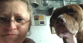 stephanie pet sitter à CHAMBLY 60230_2