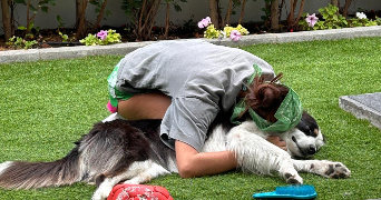 lorena pet sitter à Gaillard 74240_3