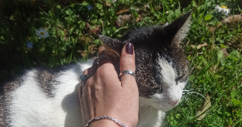 floriana pet sitter à PARIS 13 75013_3