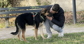 jean baptiste pet sitter à TOURNECOUPE 32380_1