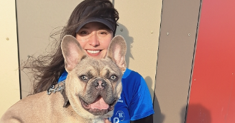 heidi pet sitter à CHEVILLY LARUE 94550_3