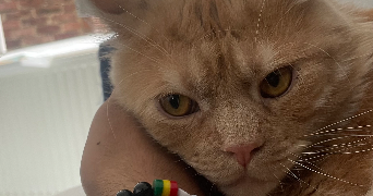 matys pet sitter à Paris 75018_3