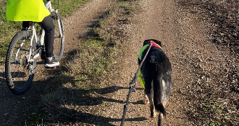 aline pet sitter à CHAMBERY 73000_2