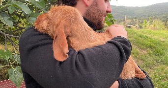 lucie pet sitter à PARIS 11 75011_0