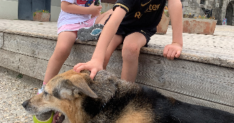 doria pet sitter à AIX EN PROVENCE 13100_2