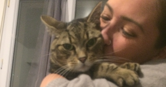 lucille pet sitter à LES MONTS D ANDAINE 61600_1