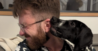 martin pet sitter à CAPINGHEM 59160_1