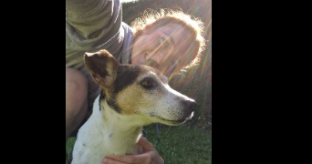 célestine pet sitter à ST ETIENNE 42000