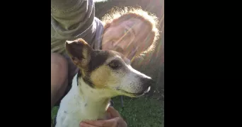 célestine pet sitter à ST ETIENNE 42000