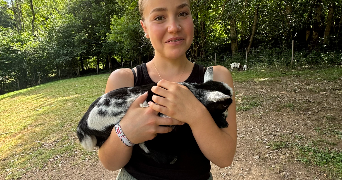 jone pet sitter à ANGLET 64600_3