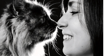 sophie pet sitter à SARREBOURG 57400_0