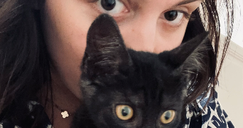 lou pet sitter à TROYES 10000_4