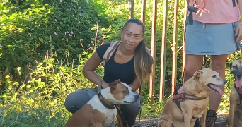 veronique pet sitter à L UNION 31240_0