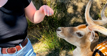 juliette pet sitter à ROUEN 76000_3