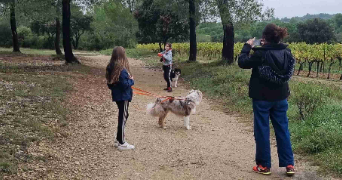 emilie dog sitter à BEAULIEU 34160_0