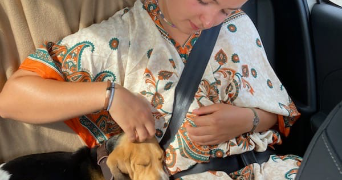 clarence pet sitter à LYON 03 69003_3