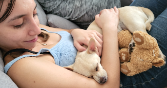 nolwenn pet sitter à AUBAGNE 13400_1