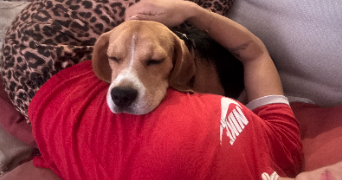 emeraude pet sitter à LA ROCHELLE 17000_9