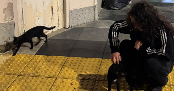 capucine pet sitter à PARIS 15 75015_3