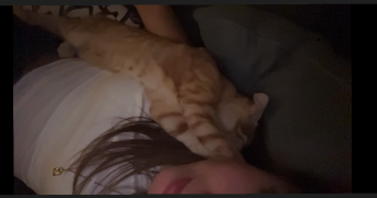 emma pet sitter à AIX EN PROVENCE 13100_1