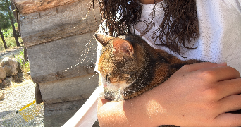 lucie pet sitter à RENNES 35000_1