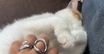 juliette pet sitter à ST RENAN 29290_1