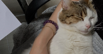 luisa pet sitter à PARIS 12 75012_1