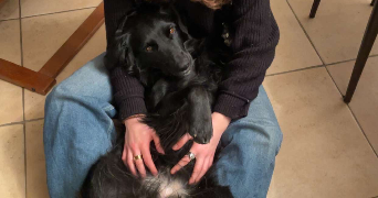 anouk pet sitter à VOURLES 69390_1