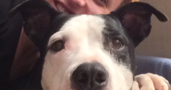 nelsa pet sitter à CERNEX 74350_3