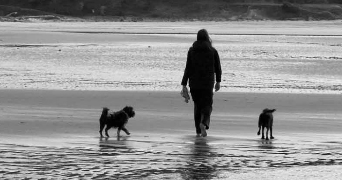 clara pet sitter à CLICHY 92110_2